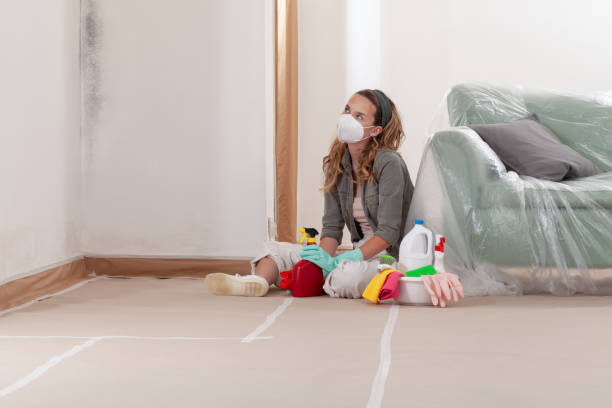 Reliable Hvac And Air Duct Mold Remediation contractor in Muskegon, MI by 24 Hour Mold Removal